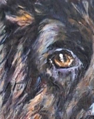 Pintura de Fergoarte - Thor